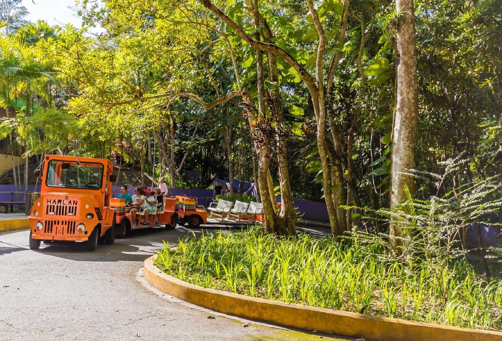 Discovery Inn & Suites At 681 Ocean Drive アレシボ エクステリア 写真